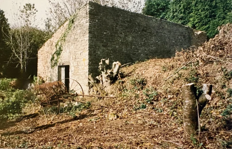 Bâtisse en pierre envahie par la végétation, avant travaux